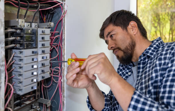 Best Electric Panel Repair  in Orono, MN